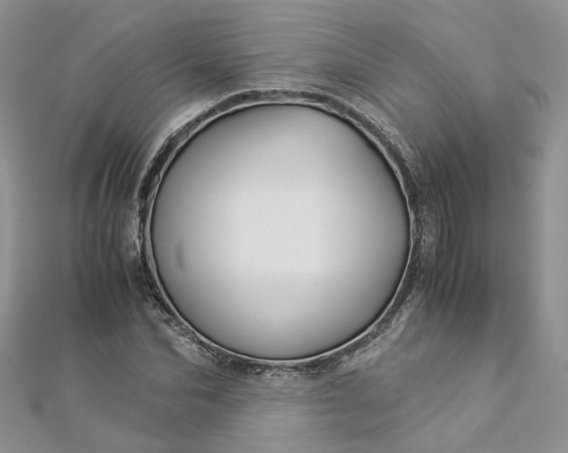 X0000112900974200909041719