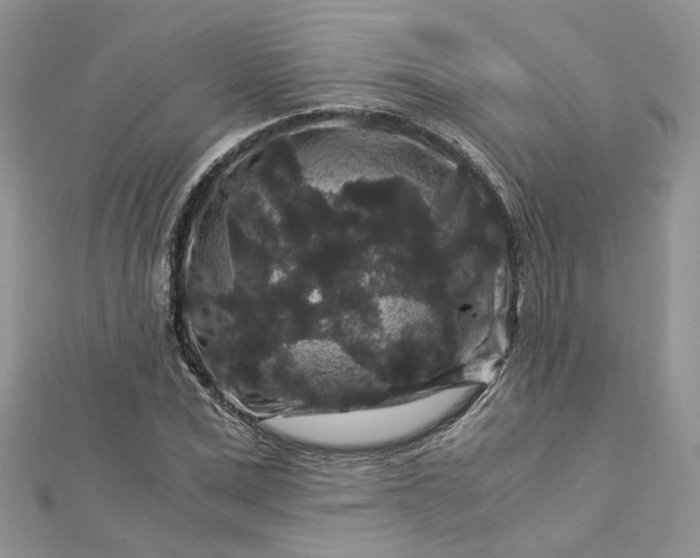 X0000112900975200909041719