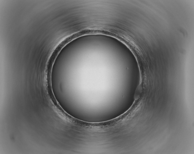 X0000112900976200909041719