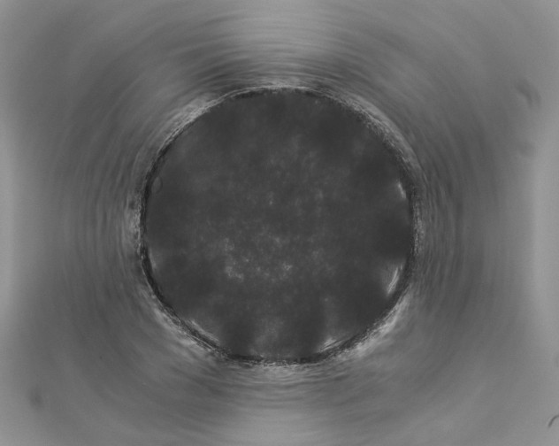 X0000112900977200909041719