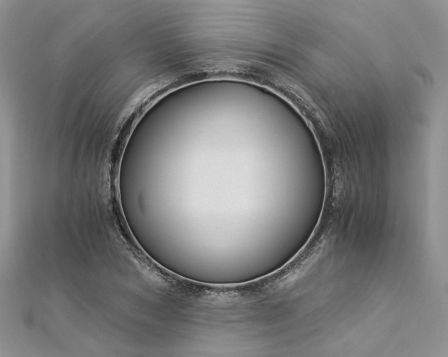 X0000112900978200909041719