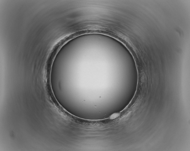 X0000112900979200909041719