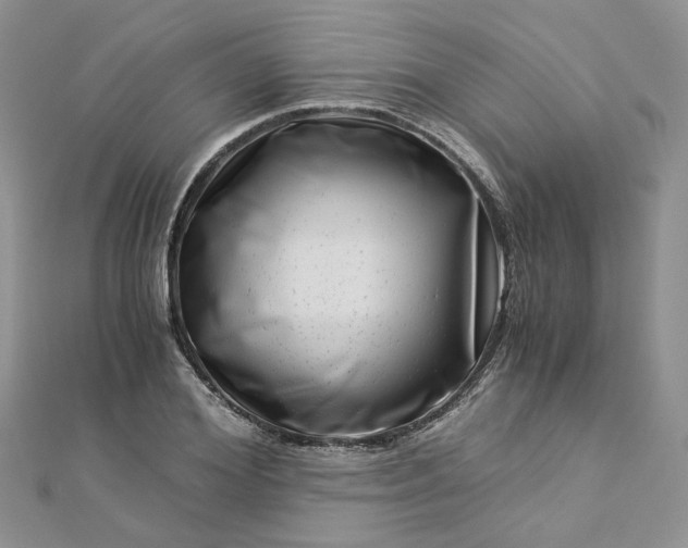 X0000112900980200909041719