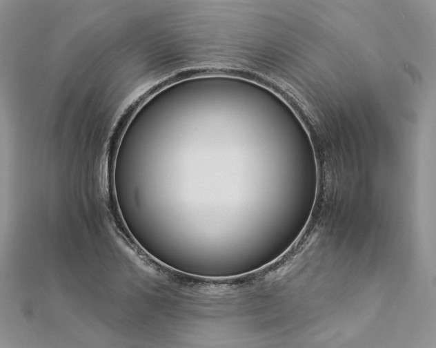 X0000112900982200909041719