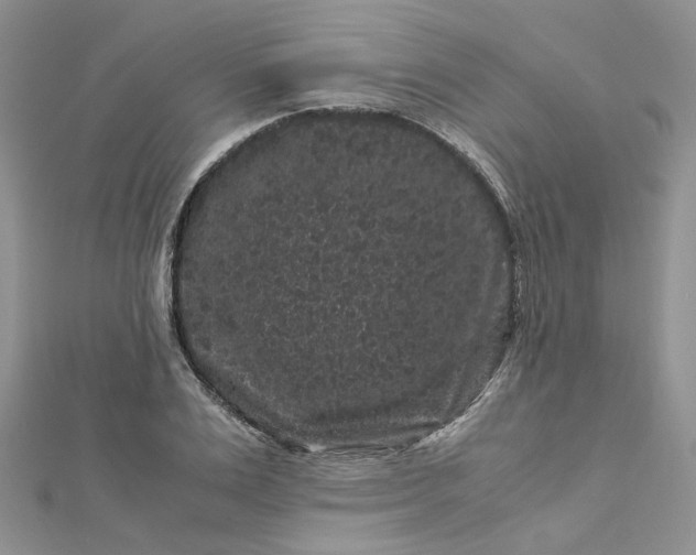 X0000112900983200909041719