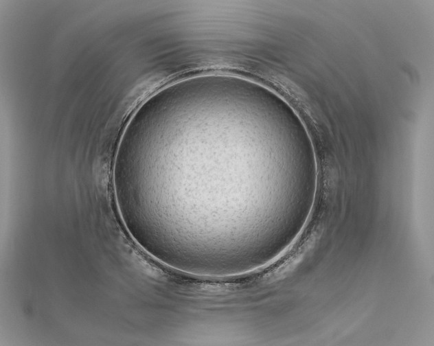 X0000112900985200909041719