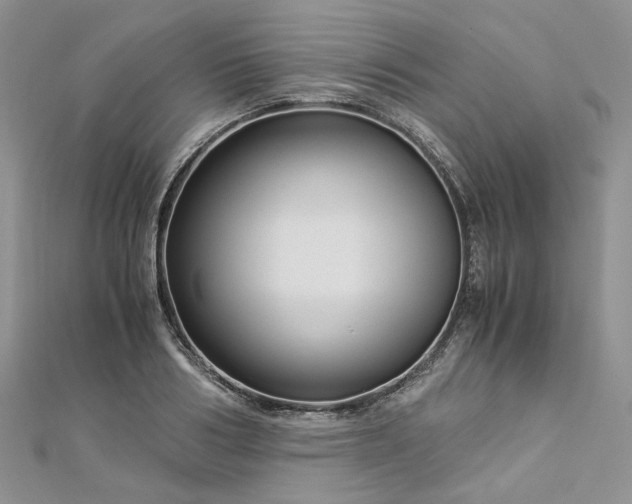 X0000112900986200909041719