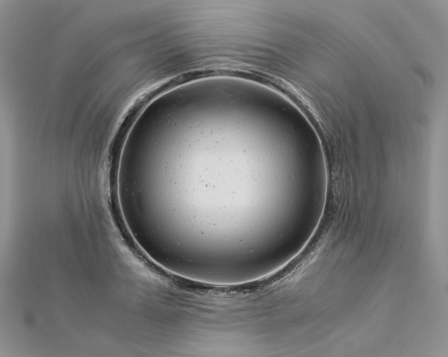 X0000112900987200909041719