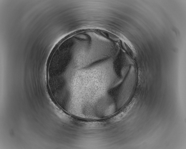 X0000112900988200909041719