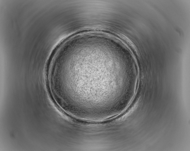 X0000112900989200909041719