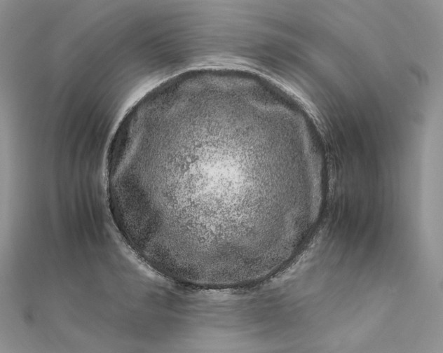 X0000112900990200909041718