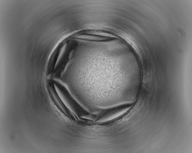 X0000112900992200909041718