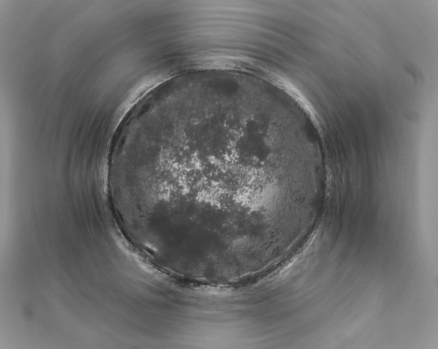 X0000112900994200909041718