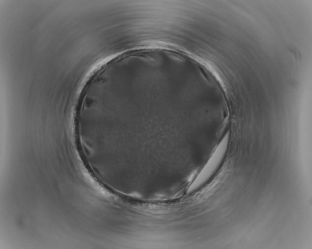 X0000112900995200909041718