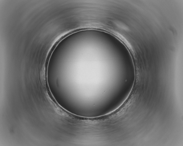 X0000112900996200909041718