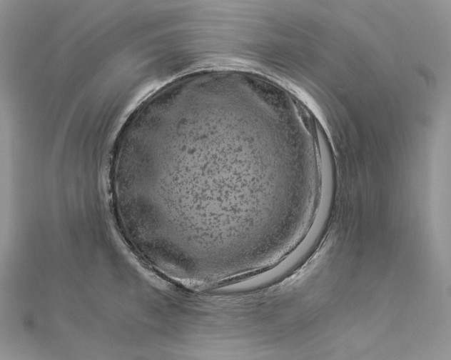 X0000112900997200909041718