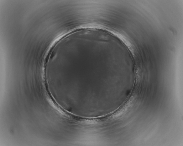 X0000112900998200909041718