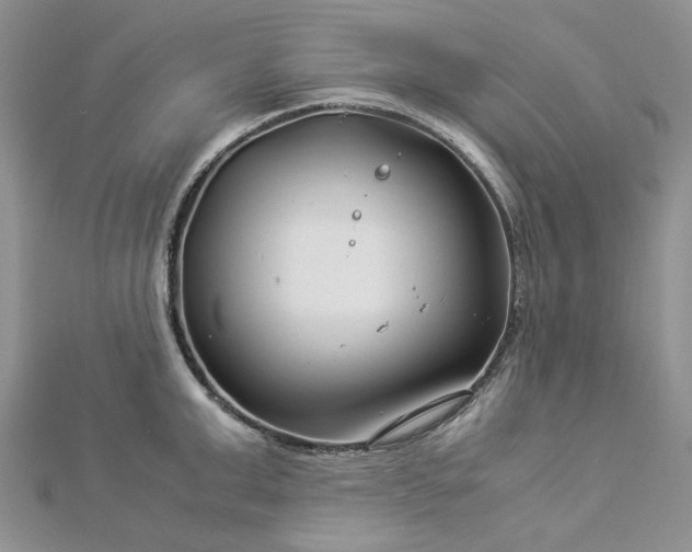 X0000112900999200909041718