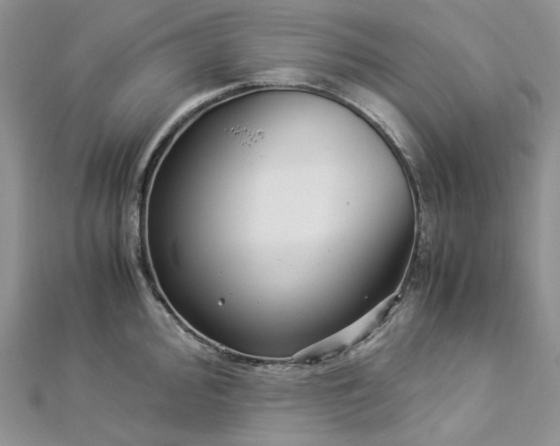 X0000112901000200909041718