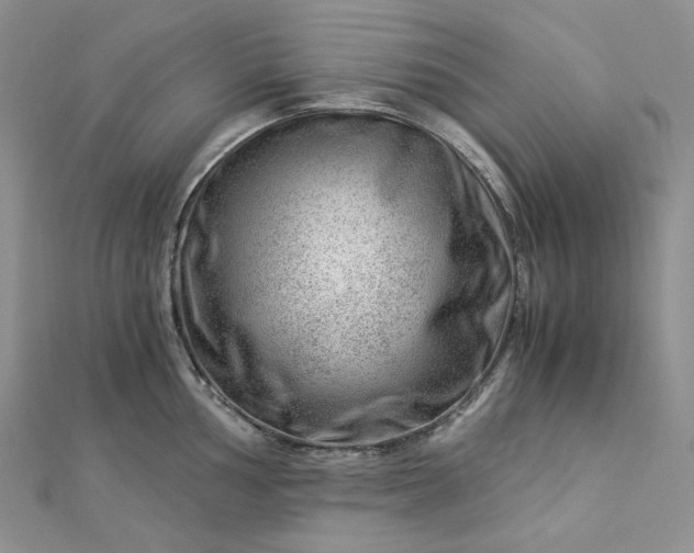 X0000112901002200909041718