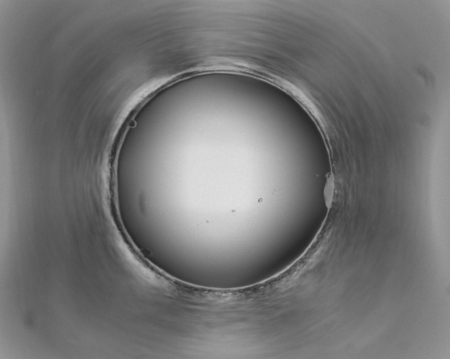 X0000112901003200909041718