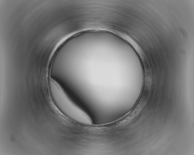 X0000112901004200909041718