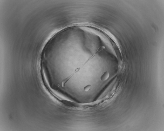 X0000112901005200909041718