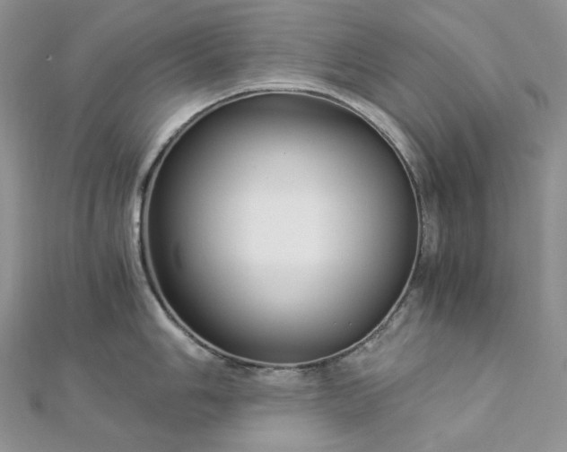 X0000112901006200909041718