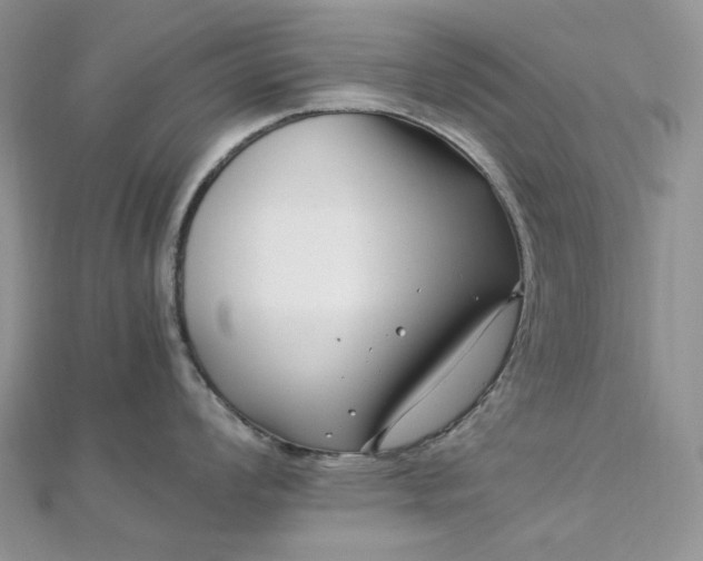 X0000112901008200909041718