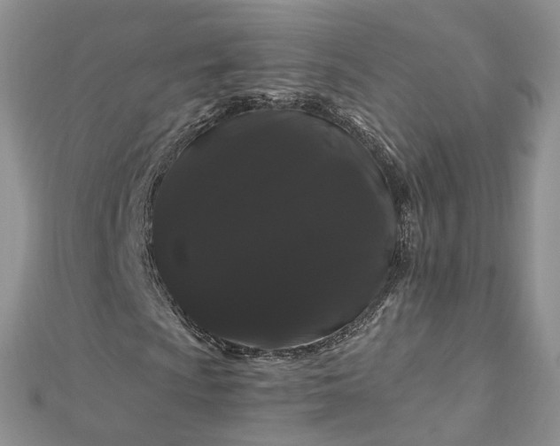 X0000112901009200909041718