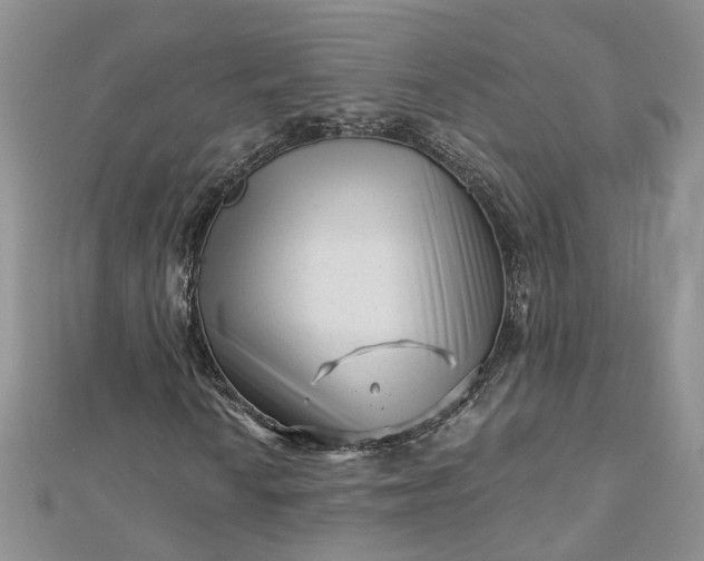 X0000112901010200909041718