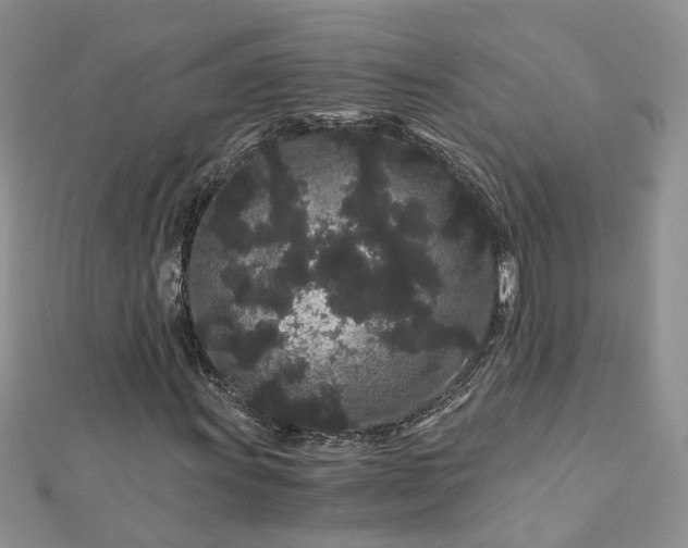 X0000112901011200909041718