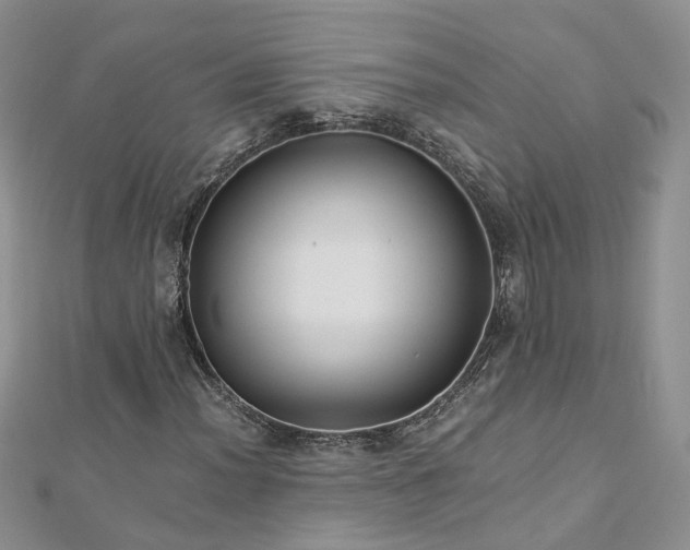 X0000112901012200909041718