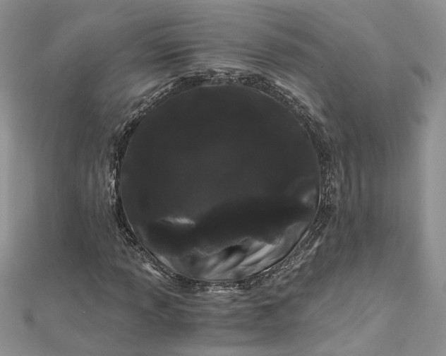 X0000112901013200909041718