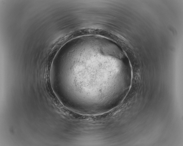 X0000112901014200909041718