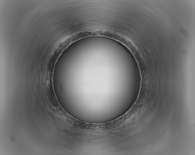 X0000112901016200909041718