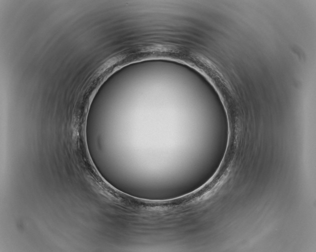 X0000112901017200909041718