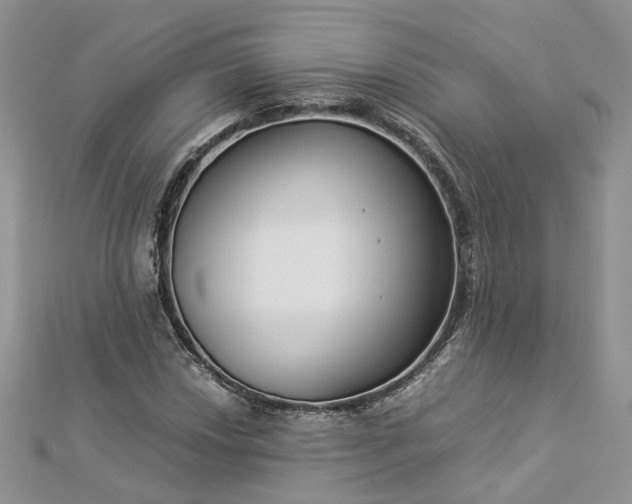 X0000112901018200909041718