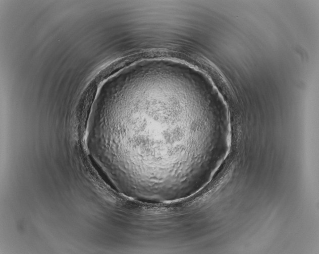 X0000112901019200909041718