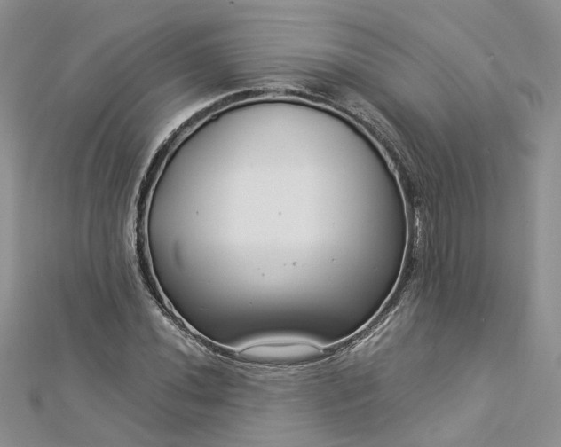 X0000112901020200909041718