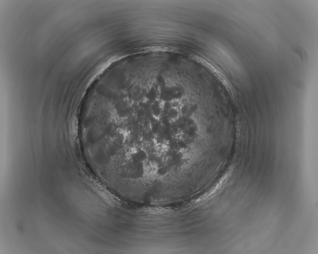 X0000112901023200909041718