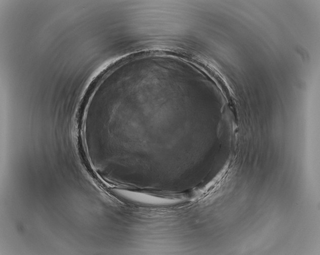 X0000112901024200909041718