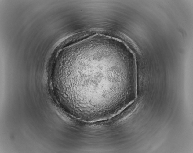 X0000112901027200909041718