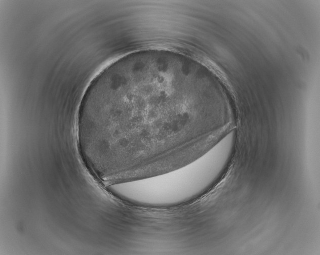 X0000112901028200909041718