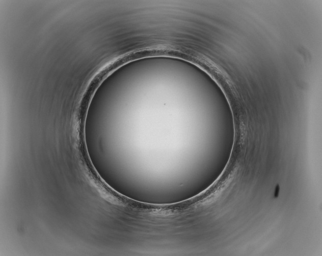 X0000112901029200909041718