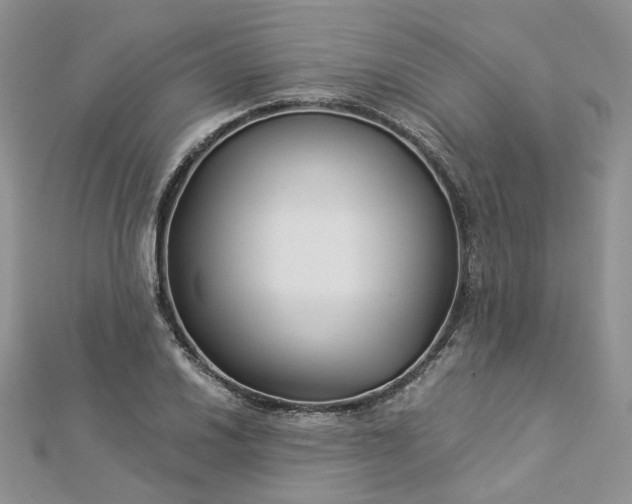 X0000112901030200909041718