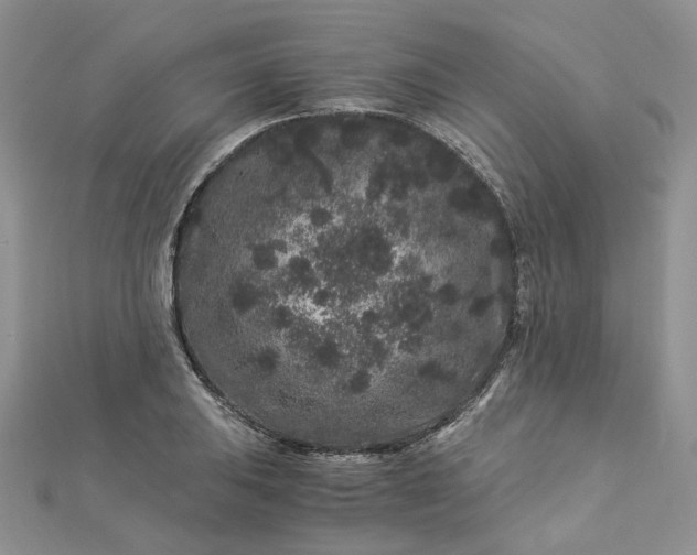 X0000112901031200909041718