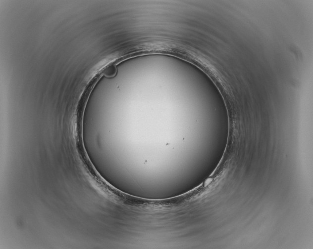 X0000112901034200909041718