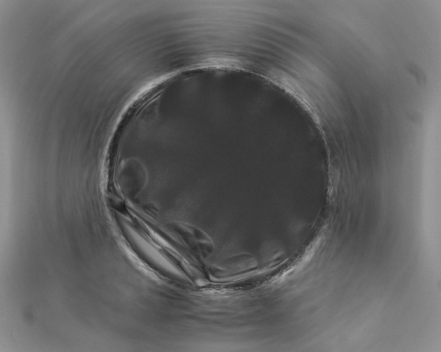 X0000112901037200909041718