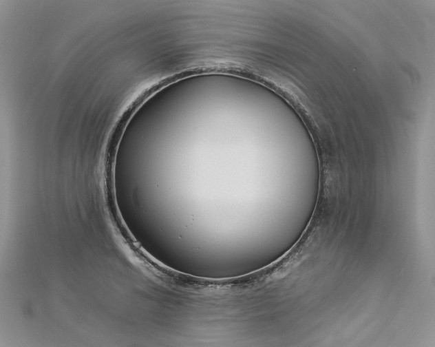 X0000112901038200909041718